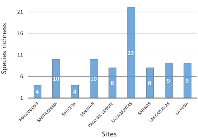 Number of species of molluscs per site in the Sabinas River.