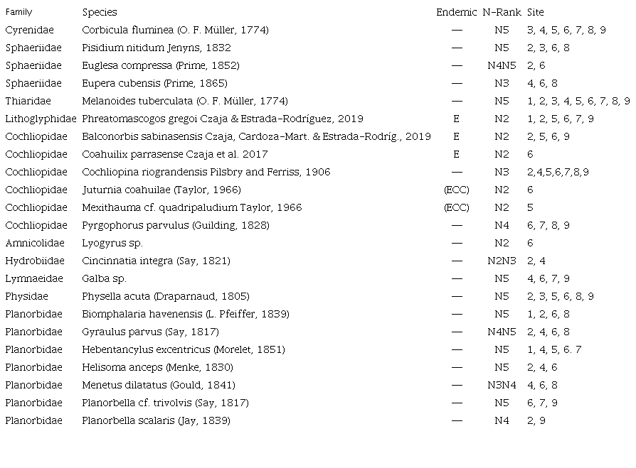 List of molluscan species from Sabinas River basin with their conservation rank and site of occurence. E = Endemic, ECC = endemic in Cuatro Ciénegas; NatureServe-Rank-Conservation status: N1 = critically imperiled, N2 = imperiled, N3 = vulnerable, N4 = apparently secure, N5 = secure; 1-9 = number of the studied sites (see Table 1).