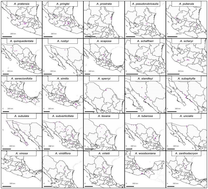Mapas de distribuci&oacute;n de Asclepias L. en M&eacute;xico