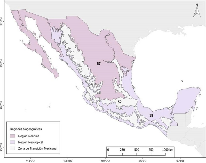 Mapa con el n&uacute;mero de especies de Asclepias L. por regi&oacute;n biogeogr&aacute;fica de M&eacute;xico.