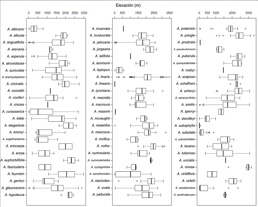 Rangos de elevaci&oacute;n de las especies de Asclepias L. en M&eacute;xico.