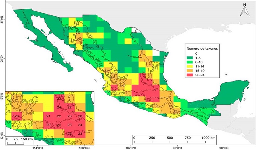 Mapa de riqueza de Asclepias L. en M&eacute;xico por celdas de 90 &times; 90 km.