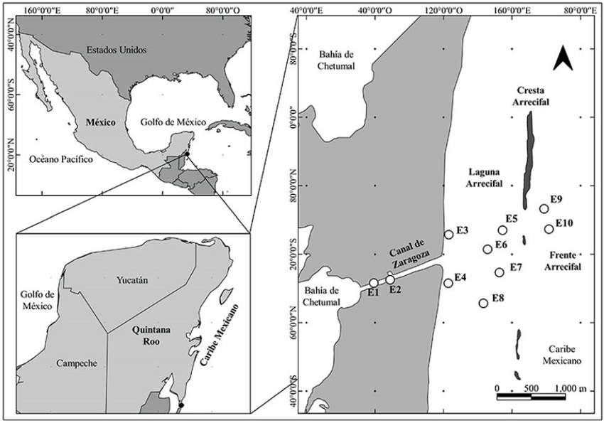 Mapa del área de estudio con estaciones de muestreo.