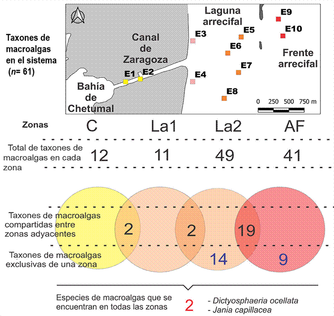 Riqueza de especies: por zona, total, especies compartidas y especies exclusivas.