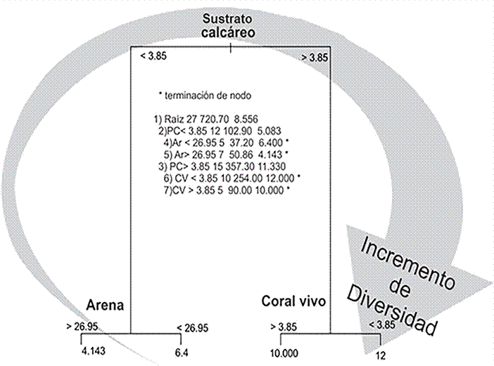 Árbol de clasificación de ocurrencia de altos valores de diversidad de macroalgas en la región del PNAX.