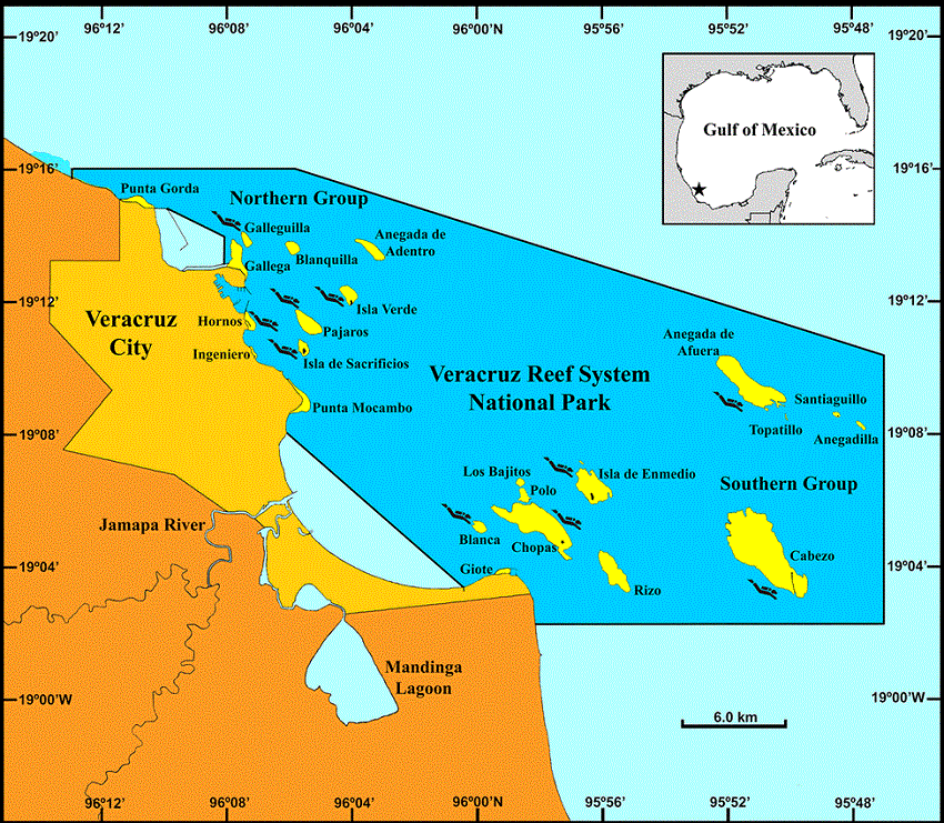Veracruz Reef System National Park (dark blue area). Position of the VRSNP in the Gulf of Mexico indicated by a star in the insert. Emergent reefs (yellow). Divers indicated the position of reef sampling sites.