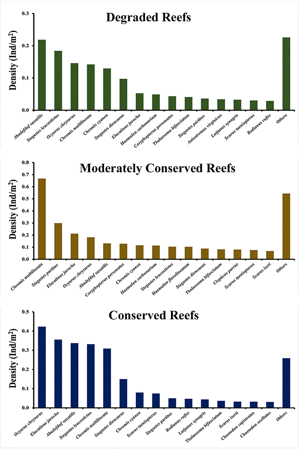 General average density (Ind/m3) of the 15 most abundant fish species in the degraded, moderately conserved and conserved reef groups in the VRSNP.
