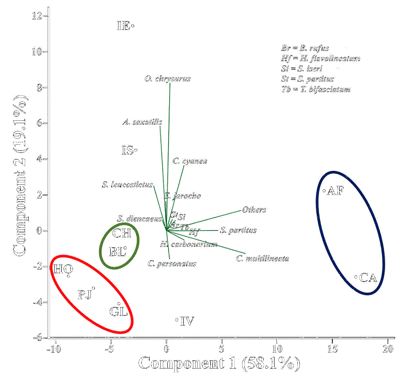 Principal component analysis (PCA) biplot (scores and loadings) of the reef fish assemblage structure. The first 2 components explained 78.2% of the total variance. Reef groups are shown delimited by surrounding lines. AF = Anegada de Afuera; BL = Blanca; CA = Cabezo; CH = Chopas; IE = Isla de En medio; GL = Galleguilla; HO = Hornos; IS = Isla de Sacrificios; IV = Isla Verde; PJ = P&aacute;jaros.
