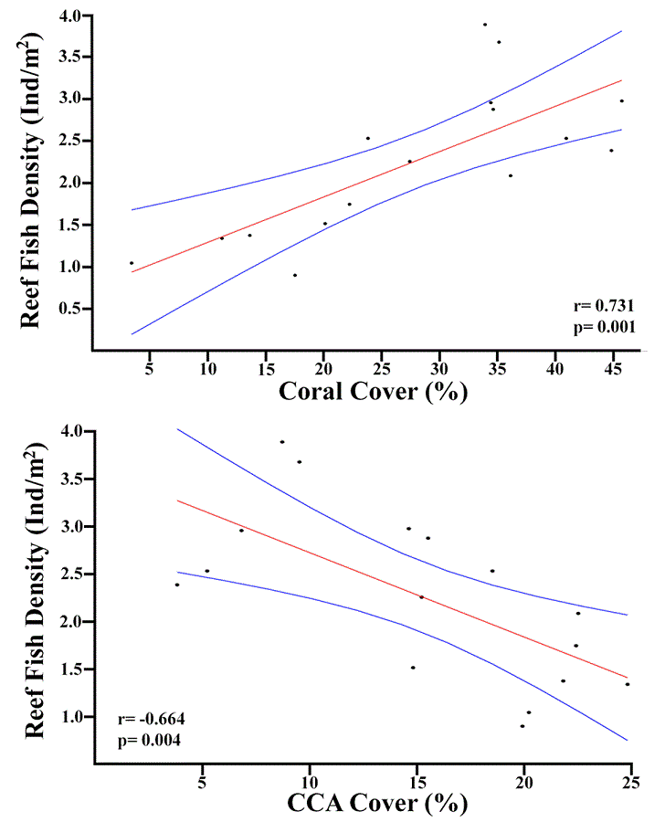 Relationship between total average reef fish density and total average alive hermatypic coral cover and crustose coralline algae (CCA) cover. Inserts are the Pearson linear correlation coefficients.