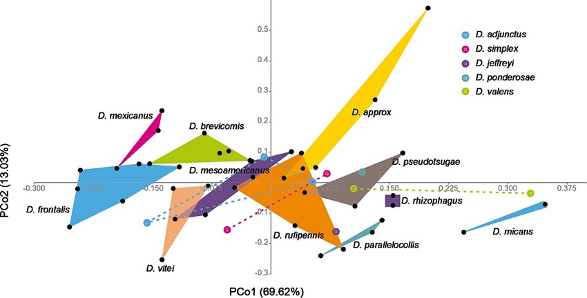 Scatter plot of Principal Coordinate Analysis of continuous and discrete characteristics. The shaded areas of different colors represent species with mostly well-defined characteristics that prevent overlapping groups.
