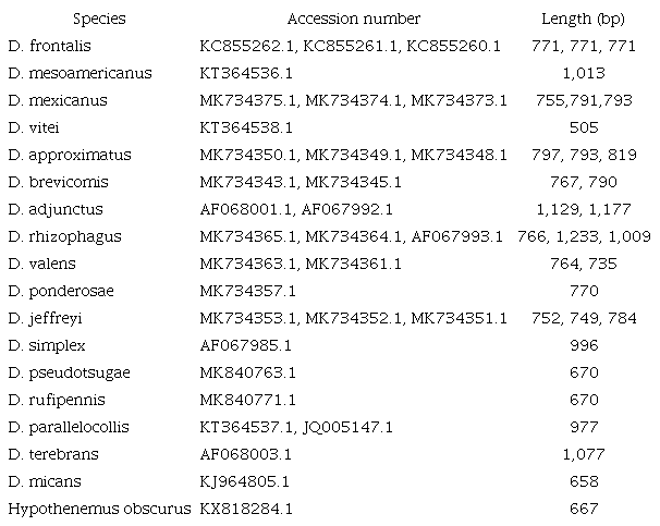 Accession numbers and length of cytochrome oxidase gene fragment used to obtain the molecular phylogenetic hypothesis of genus Dendroctonus.