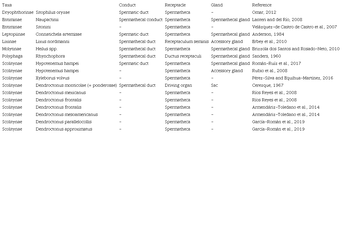 Nomenclature and alternative terms of the spermatheca in Curculionidae, proposed by different authors.