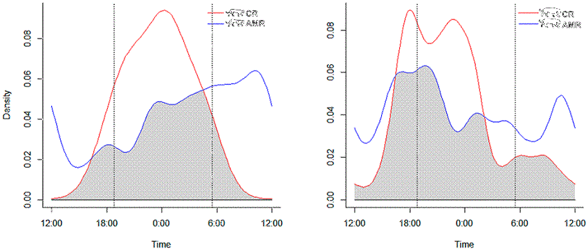 Activity patterns and extent of temporal overlap between jaguars (red lines) and pumas (blue lines) at the Amolar Mountain Ridge (AMR) and on a cattle ranch (CR) located in the Brazilian Pantanal. The grey shaded areas represent overlap. Since felids at AMR were cathemeral and those at CR were nocturnal, the graphs have been centered on midday and midnight, respectively. Vertical dashed lines represent the approximate time of sunrise and sunset.