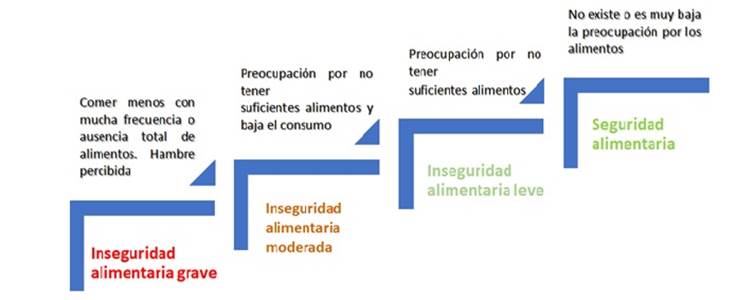 Escala de evaluaci&oacute;n de la inseguridad alimentaria y nutricional (IAN).