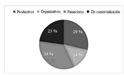 Principales problemas que enfrentan los entrevistados del mercado local del MVM.