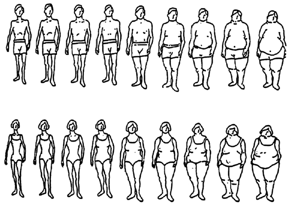 Nota. Tomado de Bulik et al. (2001).