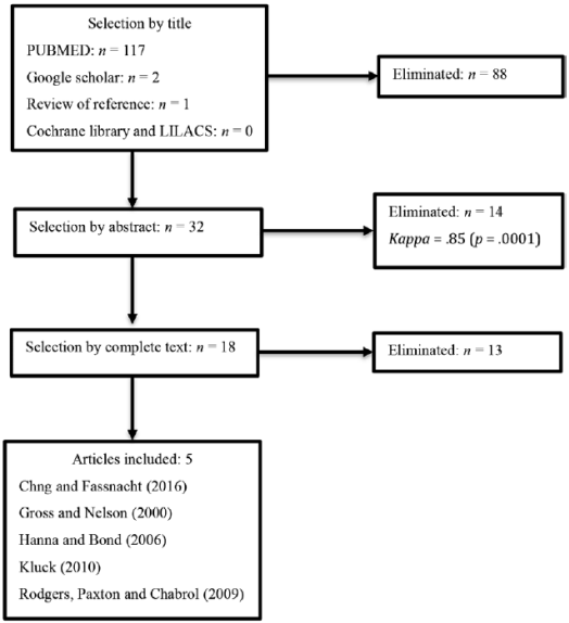Literature review flow chart.