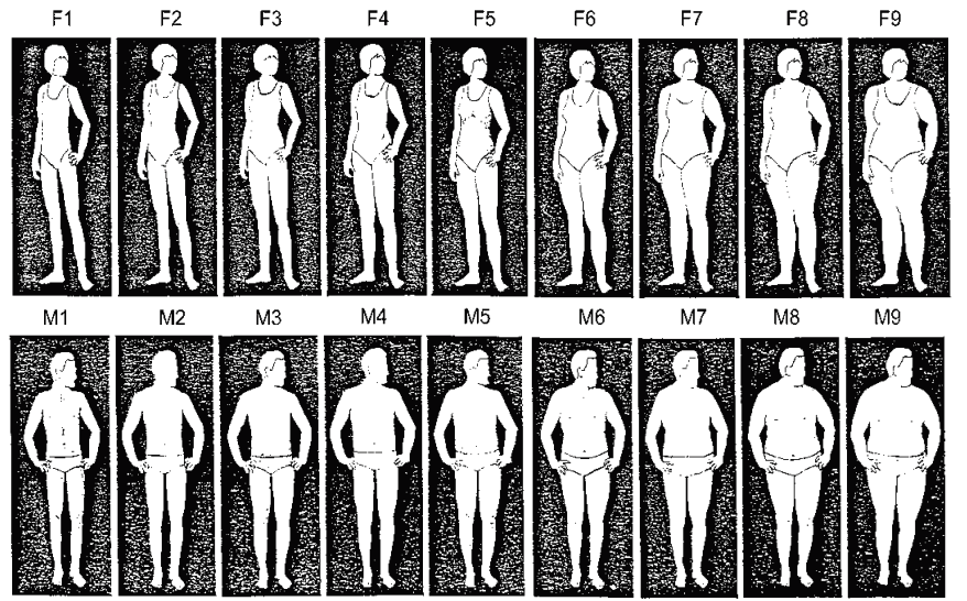 Siluetas femeninas y masculinas de Thompson y Gray (1995)