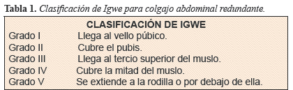 Clasificaci&oacute;n de Igwe para colgajo abdominal redundante.