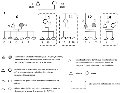Segmento del Grupo Localizado de Parentesco (GLP) Tsetet que participó en la labor de cultivo de conservación de suelos (siembra de palo de agua, mayo 2014) de ciclo cafetalero 2014-2015 realizada en la parcela de los abuelos, ubicada en el Territorio Parcelario de Café Orgánico (TPCO) del Grupo. Comunidad Kotolté, Tenejapa, Chiapas.