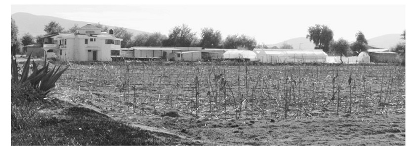 INTEGRACI&Oacute;N DEL &Aacute;REA HABITACIONAL Y &Aacute;REA PRODUCTIVA EN EL ESPACIO RURAL EN LA MAGDALENA T&Eacute;TELA MORELOS