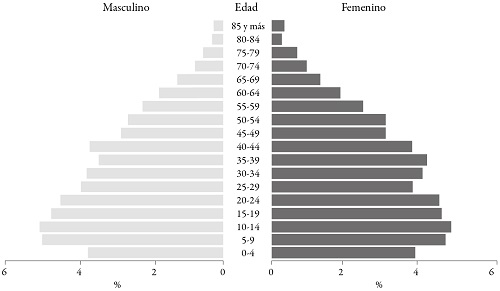Pirámide poblacional por grupos de edad del Estado de México, 2015