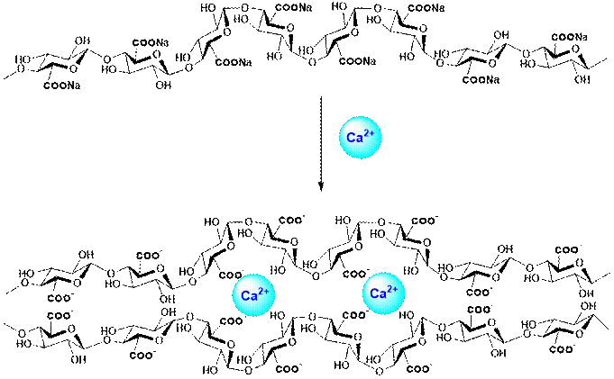 Gastronomie moléculaire — Wikipédia