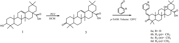Schematic procedure to
obtain derivatives 5, 6a, 6b, 6c, and 6d