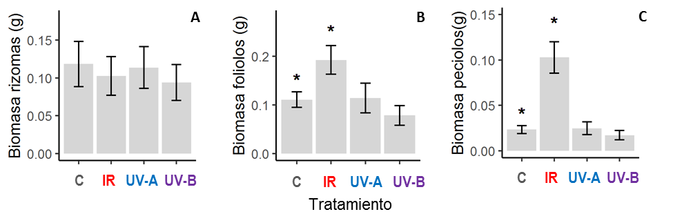 Figura 4