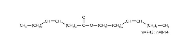 Figure n1