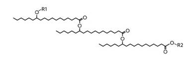 Figure n4