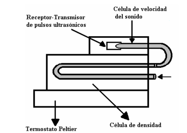 Figura 6