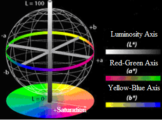 Diagram of the color spaces L*, a*, and b*.
The L* axis or luminosity axis ranges from 0 (black) to 100 (white), while the
a* and b* axes range from -128 to 127. Those cases in which a* = b* = 0 are
achromatic. Therefore, L* represents the gray achromatic scale ranging from
white to black, Stephen Westland &copy;.