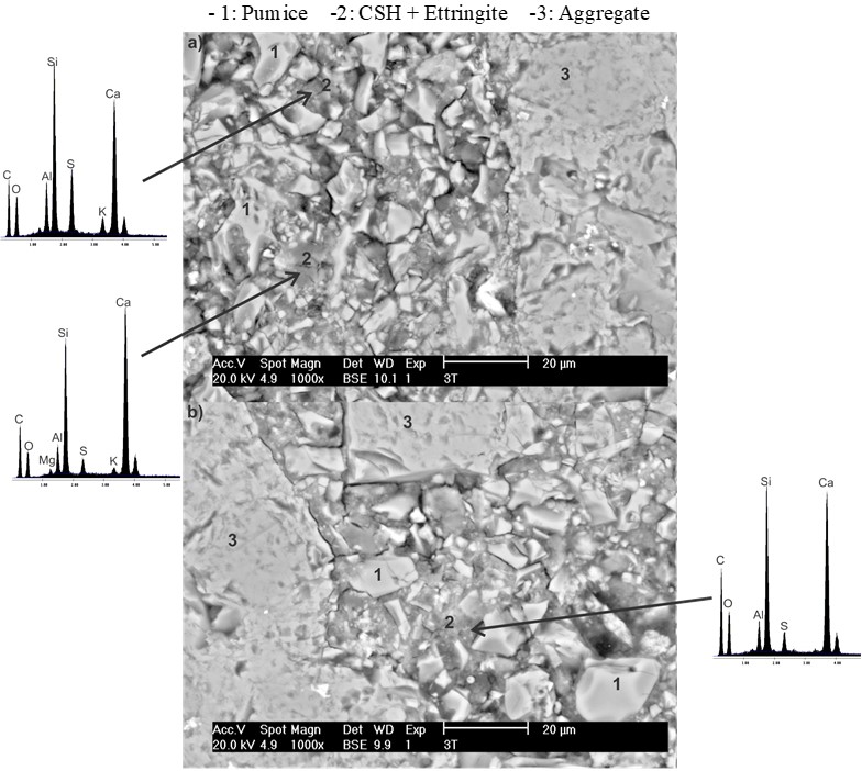SEM images with backscattered electrons of the C-3 concrete (5%An-10%PC-10%CaO-75%PM) for the T60 regime exposed to dry conditions at
25 &deg;C for 28 days.