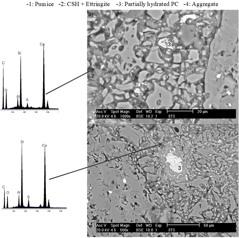 SEM images with backscattered electrons of the C-3 concrete (5%An-10%PC-10%CaO-75%PM) for the
T60 regime immersed in a 3.5% CaSO4 solution at 25 &deg;C for 90 days.
