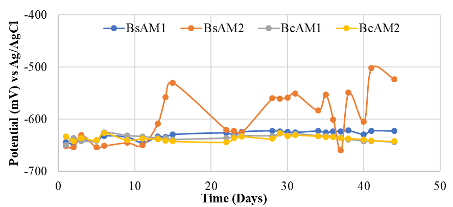 Potential vs time for
single bevel welded joint in calcium hydroxide.