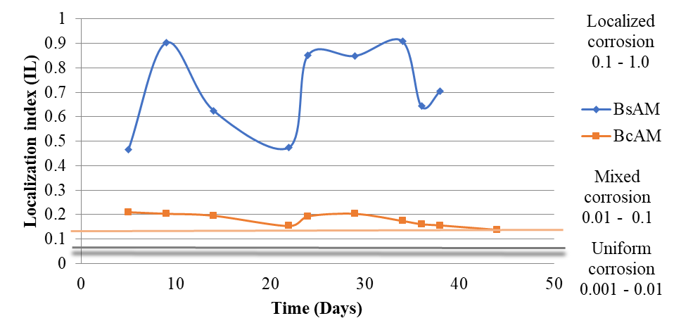 Results of
electrochemical noise testing of BsAM and BcAM samples in seawater.