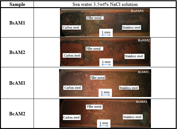 Stereographic images of BsAM and BcAM tested in sea water
(3.5wt % NaCl solution).