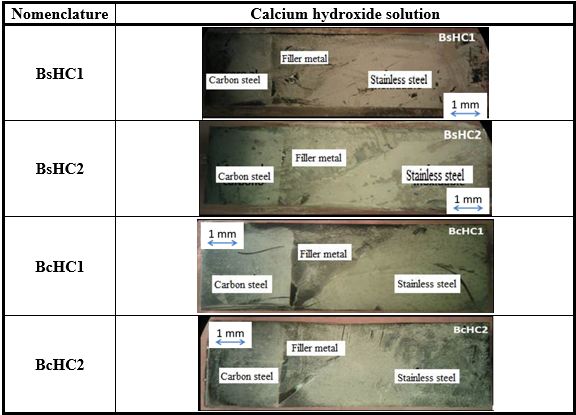 Surfaces of BsHC
and BcHC samples after testing in calcium hydroxide.