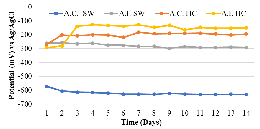 Corrosion potential vs time in single
bevel welded joints in sea water.