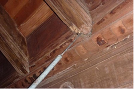 Investigation in wooden elements
with graduated punch.