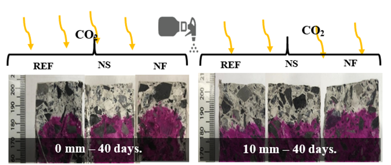 Advance of carbonation in samples of 0 and 10 mm of initial carbonation at 40 days of re-exposure, measured with Phenolphthalein.
