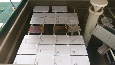 Specimens in the salt chamber before exposure to the mist