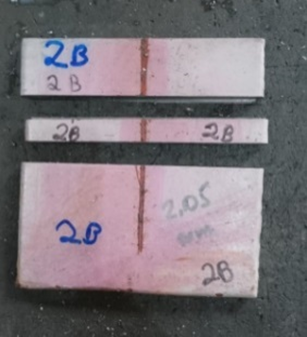 Specimen sectioned for microscopy observation
