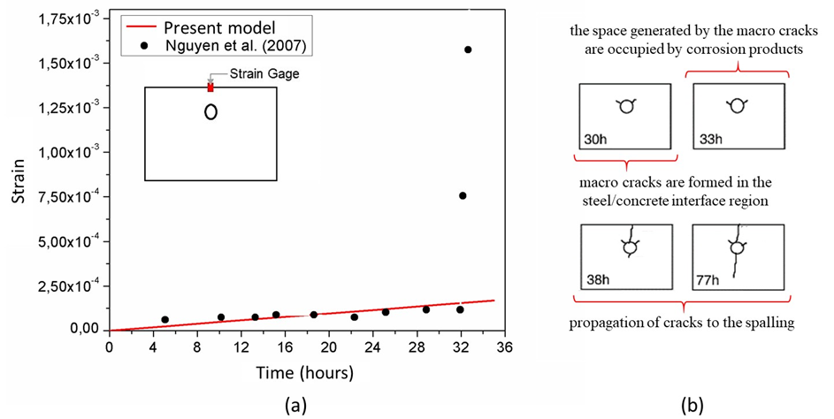 (a) Strain development and (b) Cracking evolution by Nguyen et al. (2007).