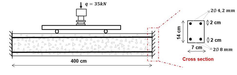 Beam geometry, dimensions and boundary conditions.
