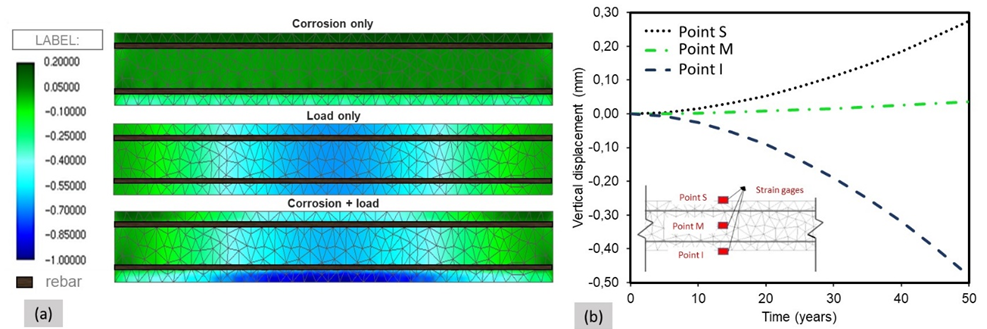 (a) Vertical beam displacement: (a) for 50 years e (b) at the time (mm).