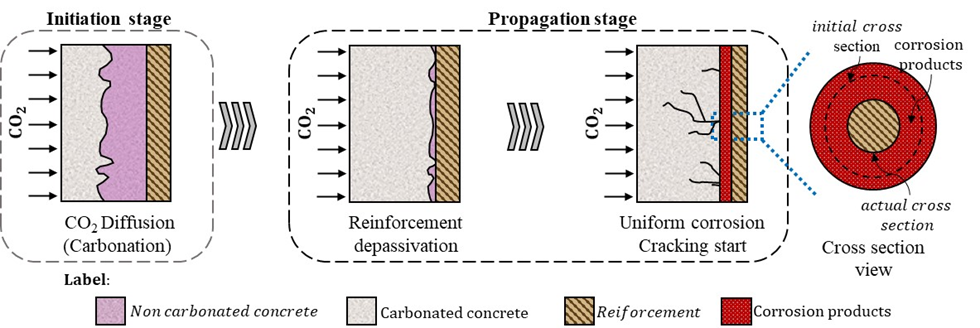 Corrosion development in concrete