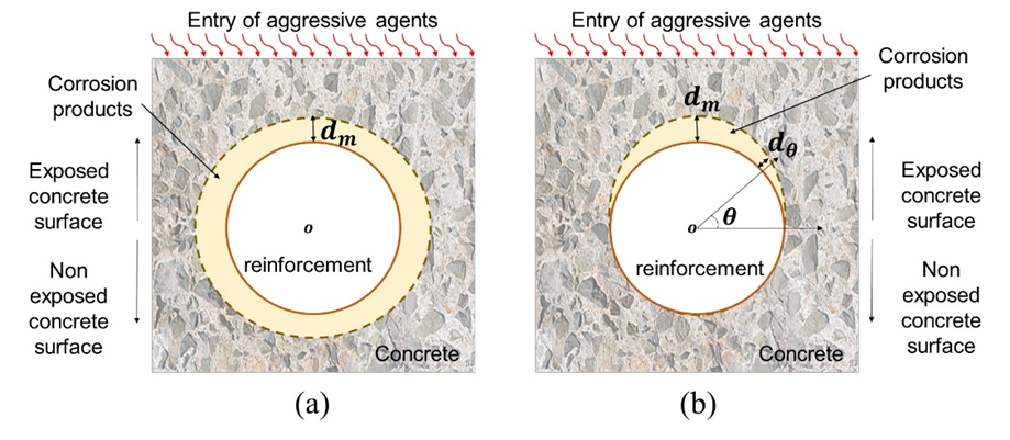 Rust formation profile: (a) linear e (b) non linear.