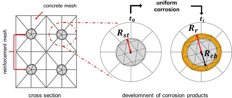 Representation of uniform corrosion via FEM.